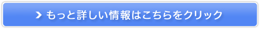 Vitule/BgDS֋ytFCVGXevR[Xz̔TCg
